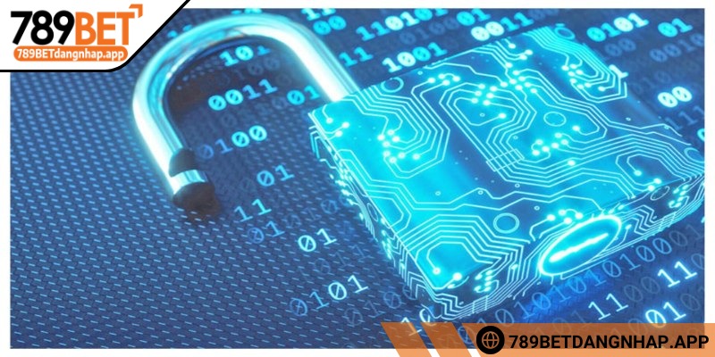 Bảo mật 789Bet - Bức tường an toàn chống mọi xâm nhập Bảo mật 789Bet sử dụng dữ liệu cho mục đích minh bạch