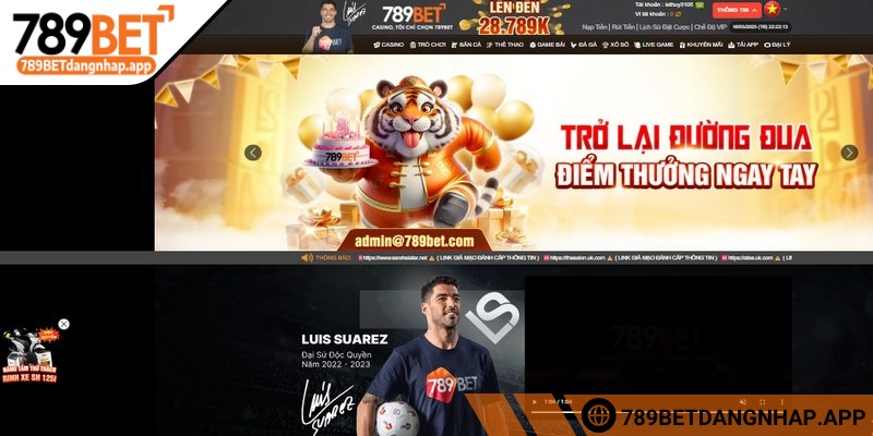 Hướng dẫn thay đổi giao diện người dùng 789Bet nhanh nhất Giao diện là cách thể hiện rõ gu thẩm mỹ